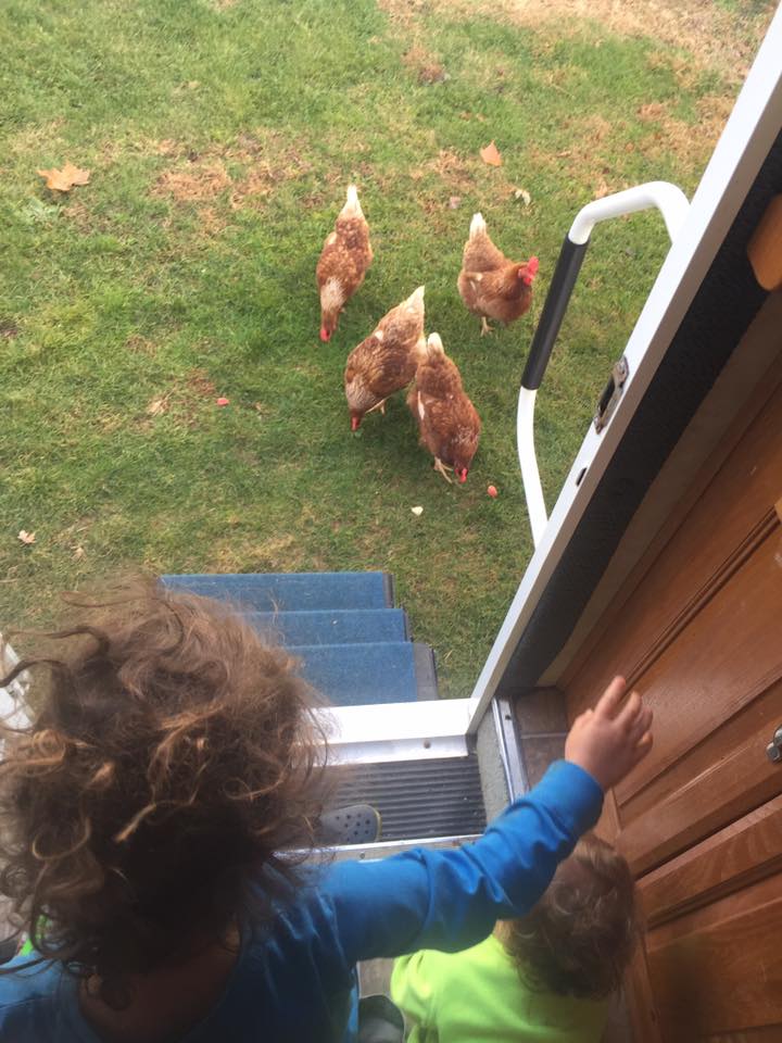 49346023_10155579947491537_7341863322515406848_n