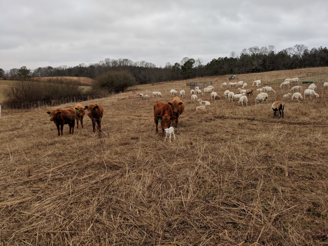 Maker:0x4c,Date:2017-10-22,Ver:4,Lens:Kan03,Act:Lar01,E-ve