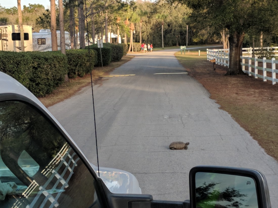 Maker:0x4c,Date:2017-10-22,Ver:4,Lens:Kan03,Act:Lar01,E-ve