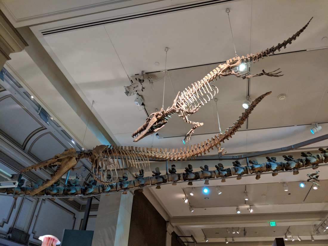 mvimg_20171210_162526